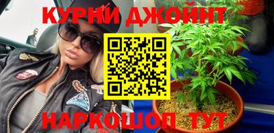 ешки Гай