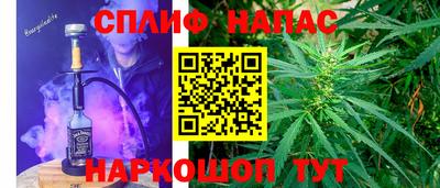 гидропоника Гагарин