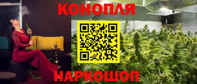 ешки Гай