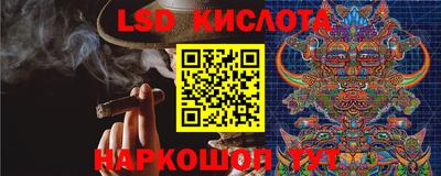 амф Гатчина