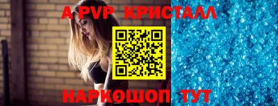 ешки Гай