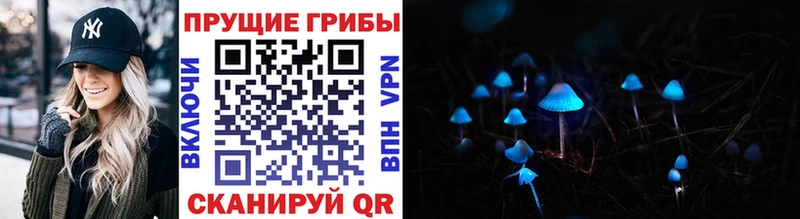 где купить наркоту  Карпинск  Псилоцибиновые грибы MAGIC MUSHROOMS 