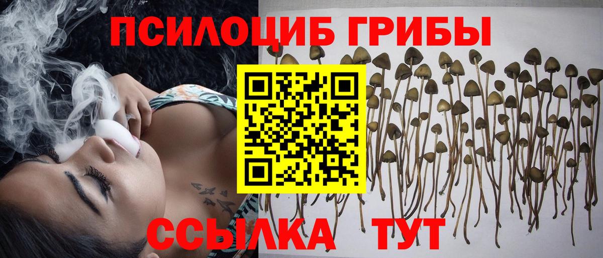 Псилоцибиновые грибы мицелий  Вход с VPN  Карпинск  Псилоцибиновые грибы MAGIC MUSHROOMS 
